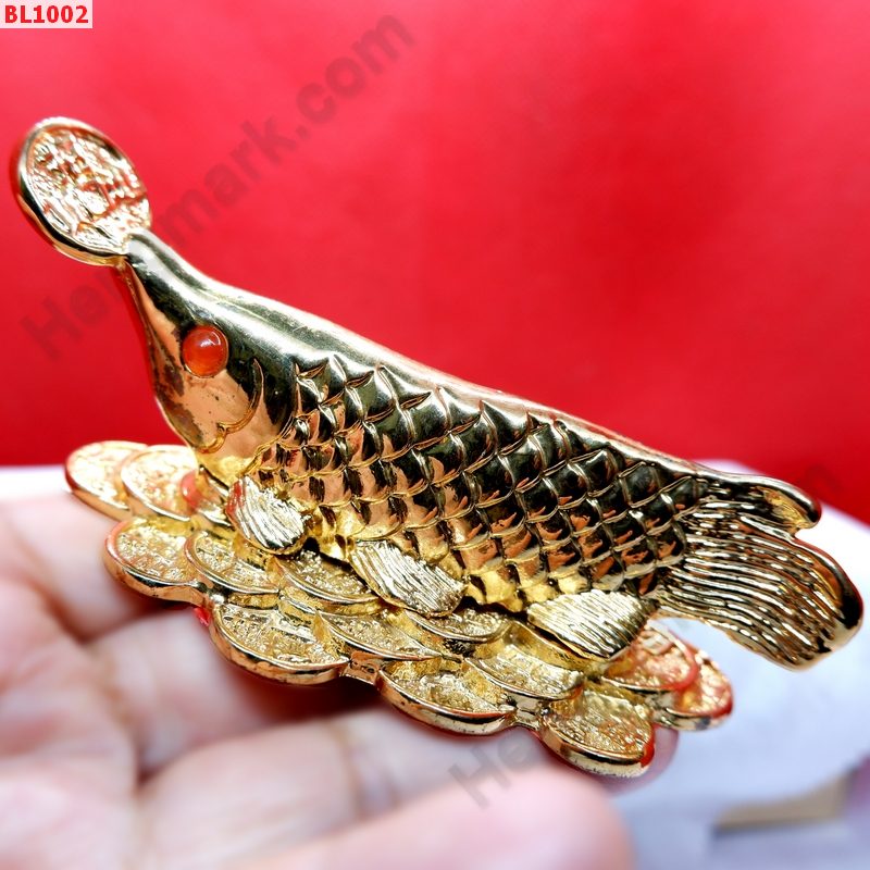 BL1002 ปลามังกรทอง(อโรวานา)ทองเหลืองชุบทอง ราคา 699 บาท http://ww2.hengmark.com/view_product/BL1002.htm