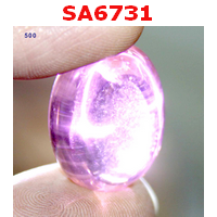 SA6731 : เพชรพญานาค สีชมพู